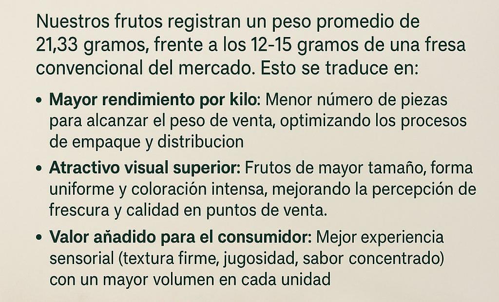 Imagen de galeria 14